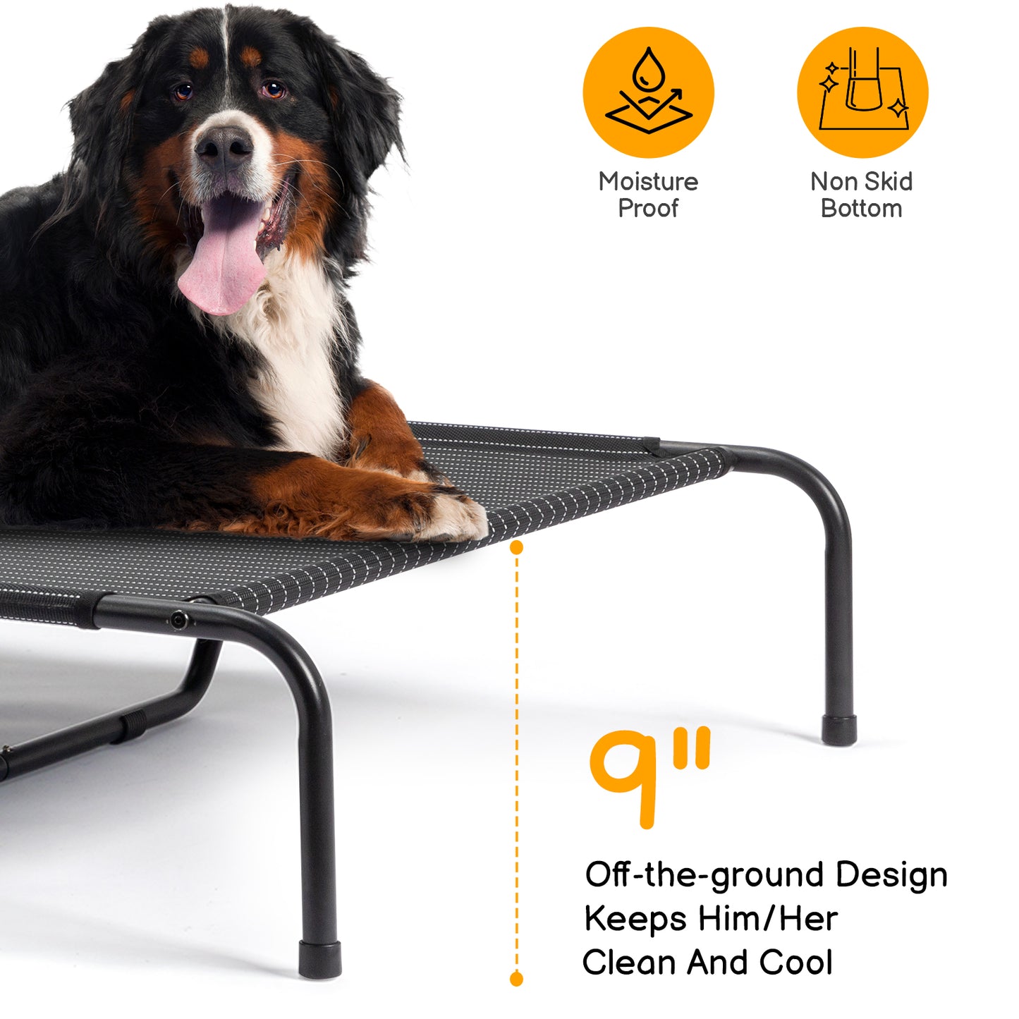 Elevated Cooling Pet Bed – Breathable & Heavy Duty