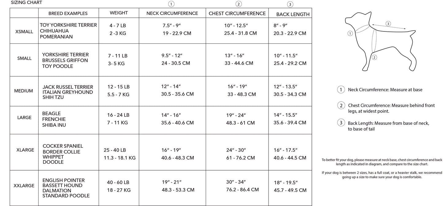 'Darcy' Star-Patch Hoodie