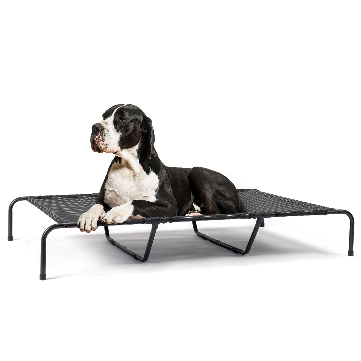 Elevated Cooling Pet Bed – Breathable & Heavy Duty