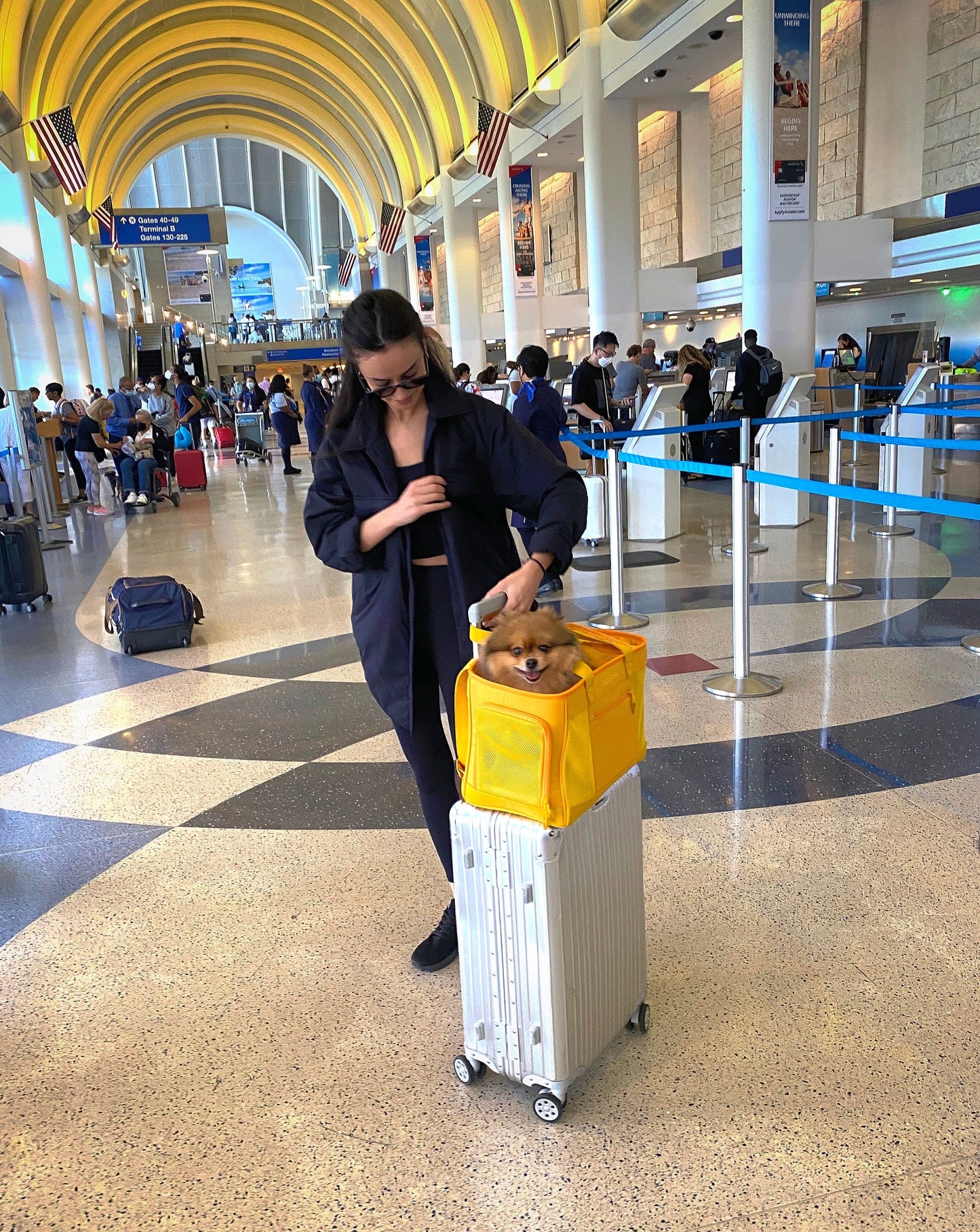 Sunburst Yellow Pet Travel carrier
