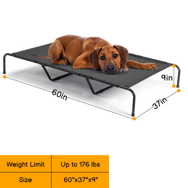 Elevated Cooling Pet Bed – Breathable & Heavy Duty