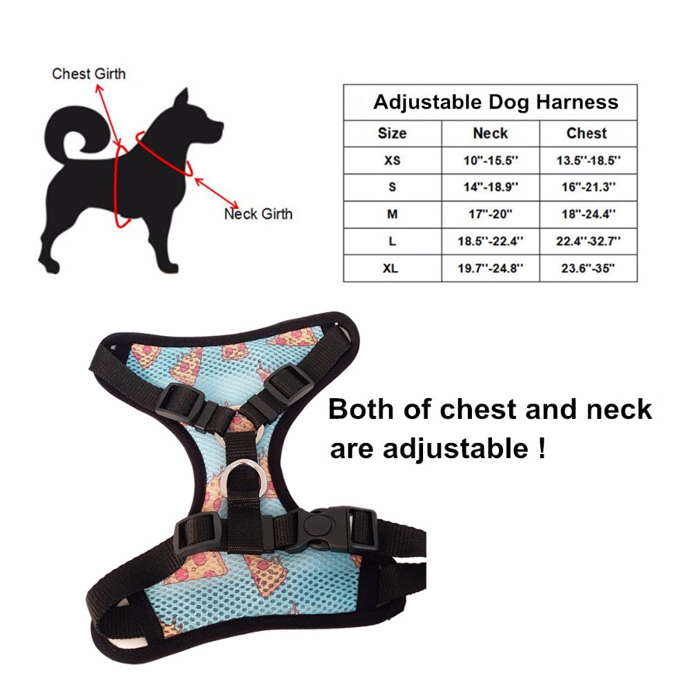 Unicorn Rainbow Harness