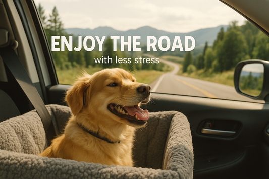 How to Travel Stress-Free with Your Pup