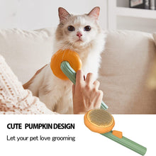 Load image into Gallery viewer, Pet Pumpkin Grooming Brush
