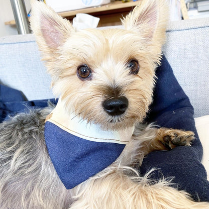 'Aspen' Reversible Pet Bandana