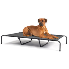 Load image into Gallery viewer, Reinforced Pet Bed
