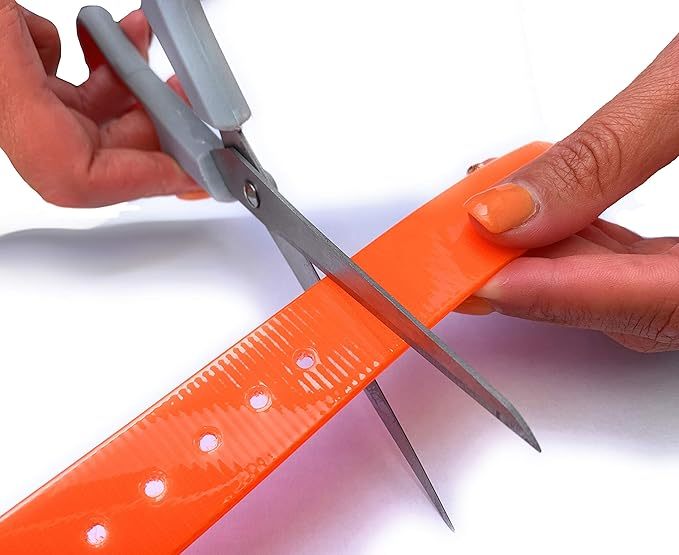 Adjustable Training Collar with Quick-Release Buckle