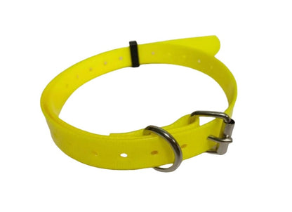 Adjustable Training Collar with Quick-Release Buckle