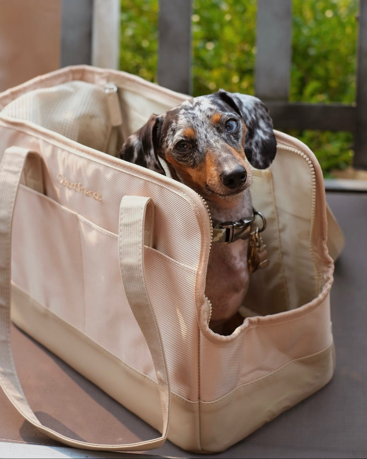 Beige Pet Tote Bag