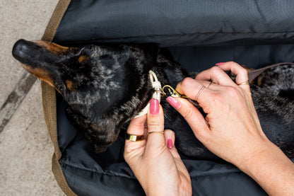 'The Daily' Packable Pet Carrier-S-Army