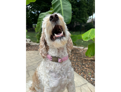 Cobra Braid in Pink & White Stripes - Handmade Dog Collar