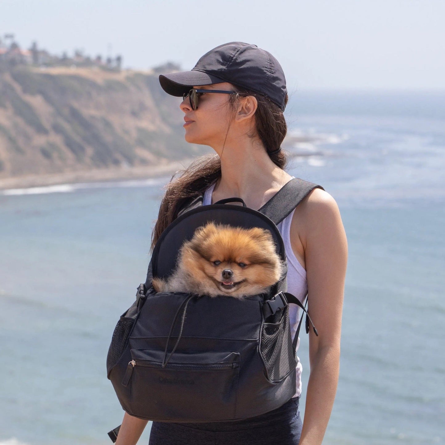 Premium All-Black Pet Backpack
