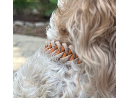 Fishtail Hand Braided Dog Collar in Mustard & Light Tan