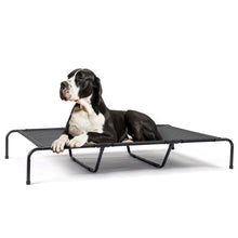 Load image into Gallery viewer, Reinforced Pet Bed
