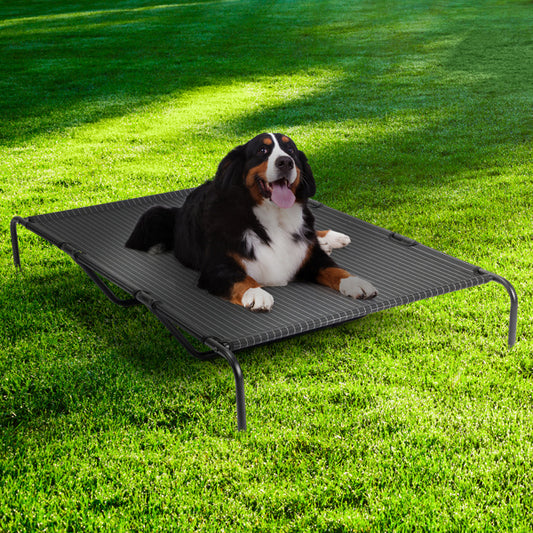 Elevated Cooling Pet Bed – Breathable & Heavy Duty