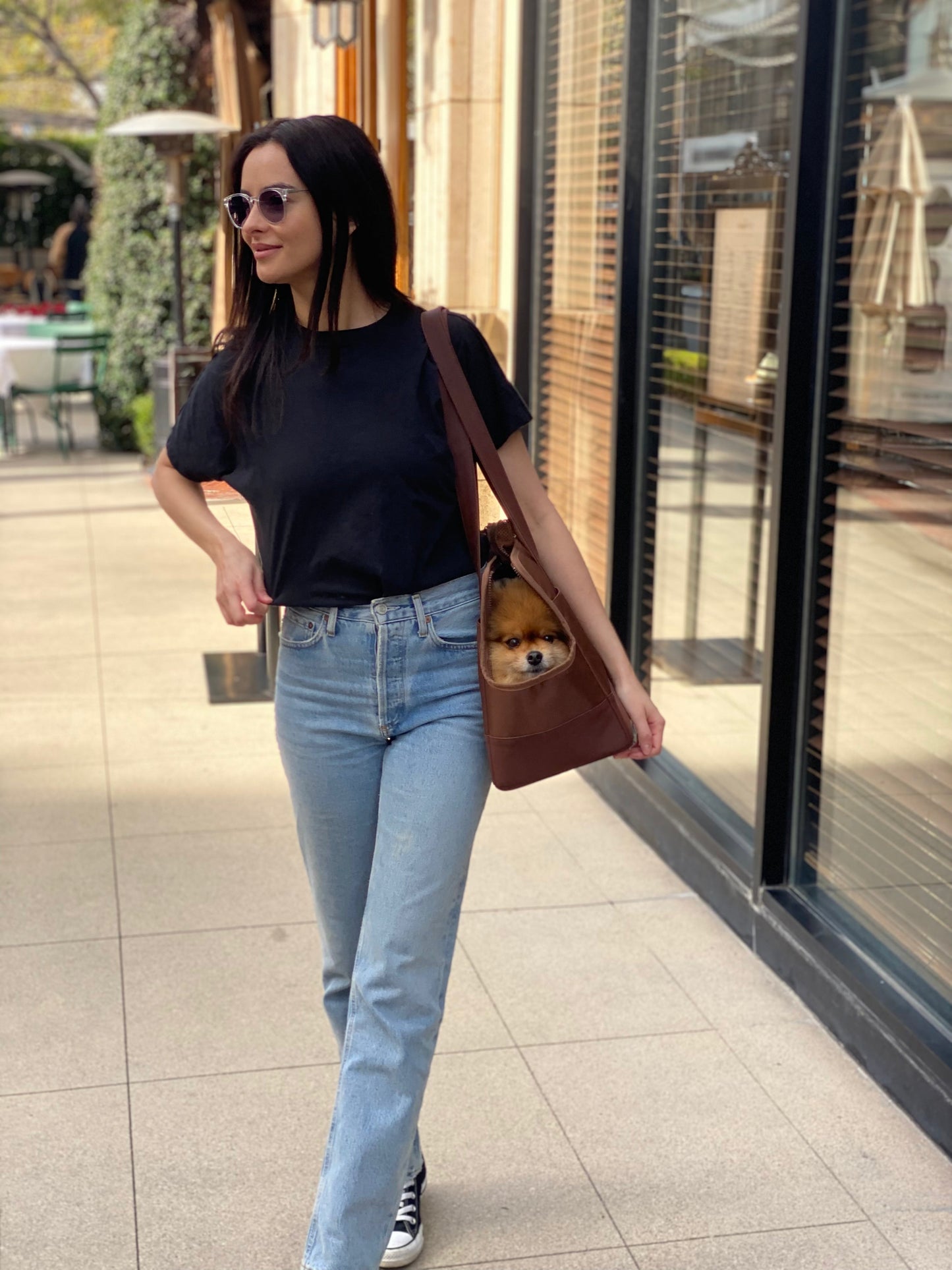 Chocolate Brown Pet Tote Bag