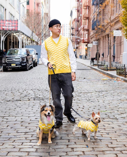 BP X BH Check Sweater vest