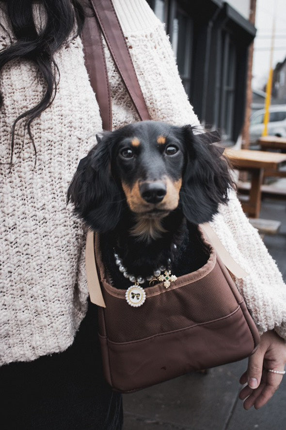 Chocolate Brown Pet Tote Bag