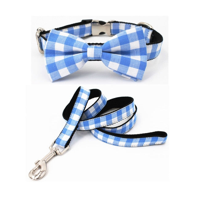 Blue dog collar set