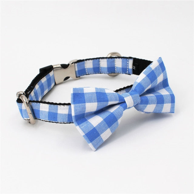 Blue dog collar set