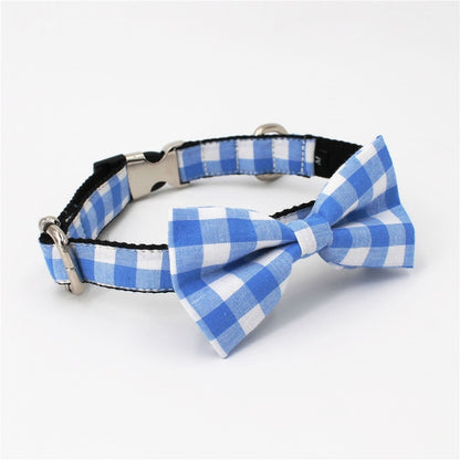 Blue dog collar set