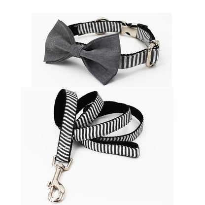 Gentlemen Stripe Collar