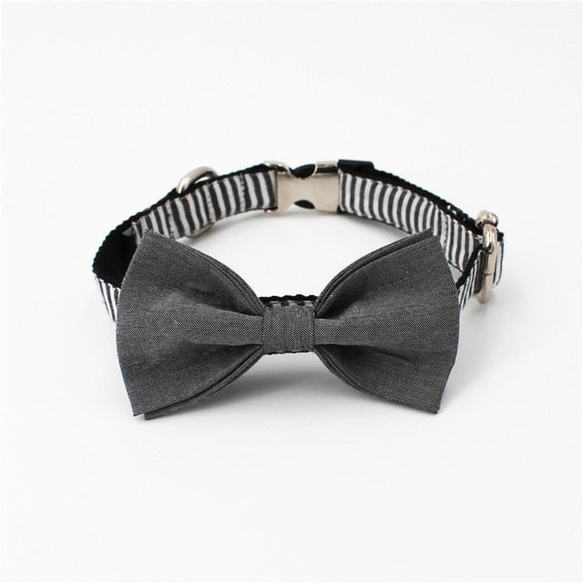 Gentlemen Stripe Collar
