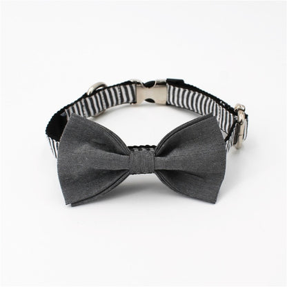 Gentlemen Stripe Collar