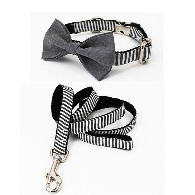 Gentlemen Stripe Collar