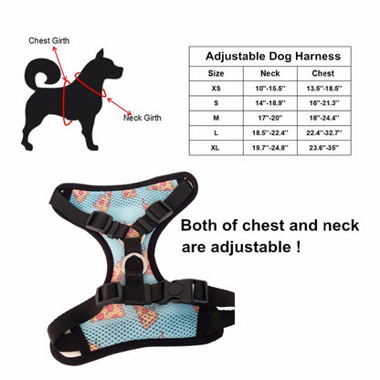 Unicorn Rainbow Harness