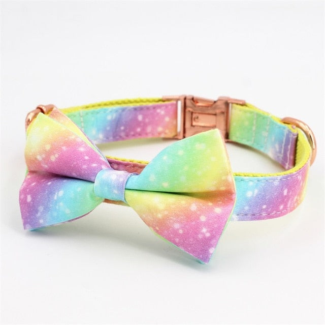 Rainbow Dog Collar